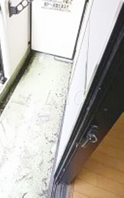 【バルコニー】 | ルネ南常盤台 | バルコニーです。