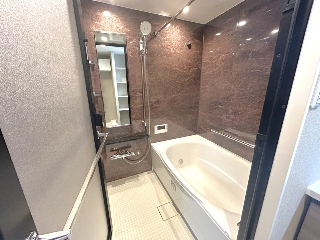 ヴィルヌーブ入谷の浴室