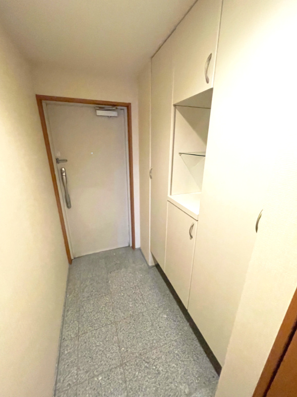 アルファライフ玉藻公園の玄関