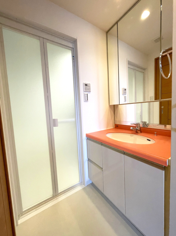 アルファライフ玉藻公園の洗面所