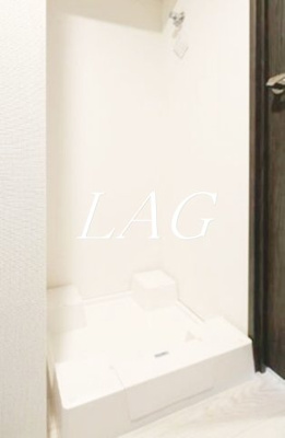 【その他】 | ハーモニーレジデンス羽田天空橋 | 室内洗濯機置き場です。