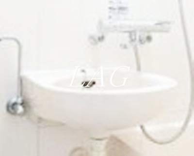 【洗面所】 | クリオ武蔵小山壱番館 | 洗面台です。