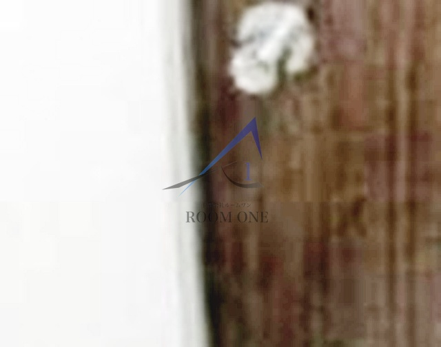 ザ・レジデンス中野のセキュリティ|内鍵です。