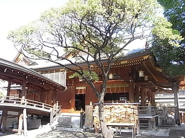 CASA EST CORTAの周辺