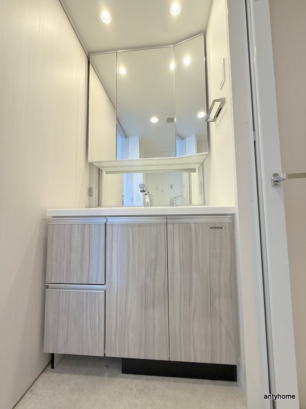 ソルレヴェンテ新梅田　仲介手数料無料の洗面所