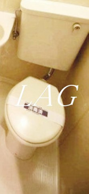 【トイレ】 | ダイアパレス浅草第二 | トイレです。