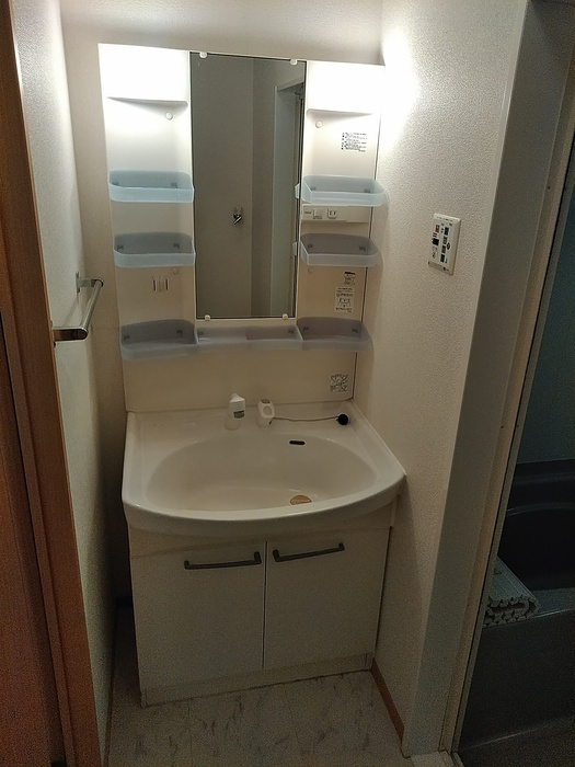 セジュール堂林 B棟の洗面所