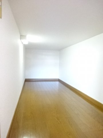 フォンテーヌ・Ⅲの収納|大きなものも収納できそうです