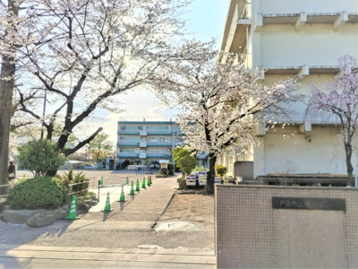 小学校