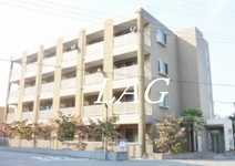 アンプルール フェール COCOの画像