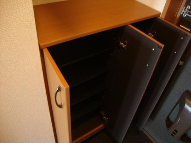 ヒーリングカーサＡの収納|下駄箱