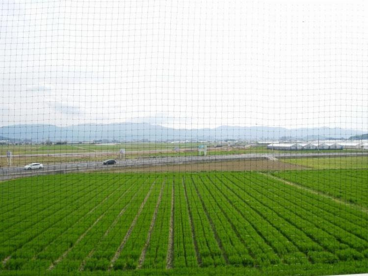 福岡市西区元浜１丁目の賃貸マンションの展望|物件の画像13