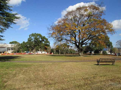 【周辺】 | ジェルメＣ | 早水公園まで800m