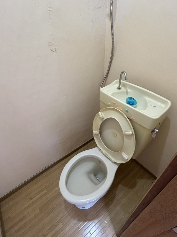 ニューグリーンコーポのトイレ