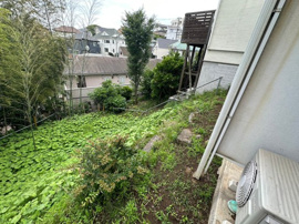 お庭が付いています