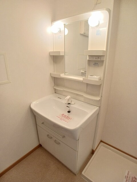 ナチュレＡＧＡＫＥⅡの洗面所