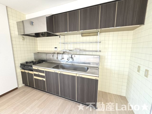 徳島市住吉３丁目の賃貸マンションのキッチン