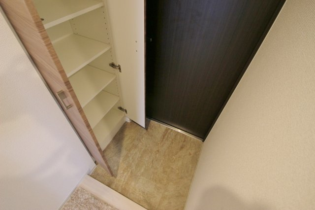 アクシーズタワー川口Ⅷの玄関|別室参考写真です。