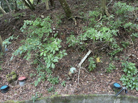 【外観】 | 東急天城高原別荘地　売地