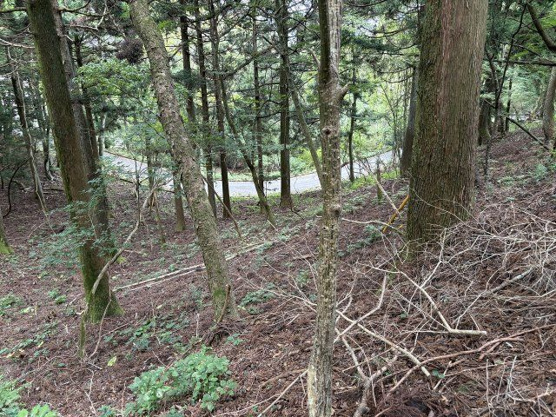 【外観】 | 東急天城高原別荘地　売地