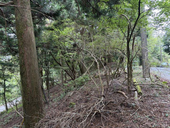 【外観】 | 東急天城高原別荘地　売地