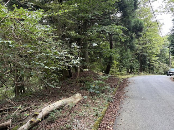 【外観】 | 東急天城高原別荘地　売地