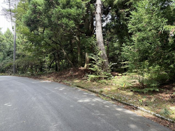 【外観】 | 東急天城高原別荘地　売地