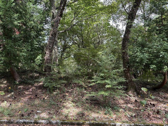 【外観】 | 東急天城高原別荘地　売地