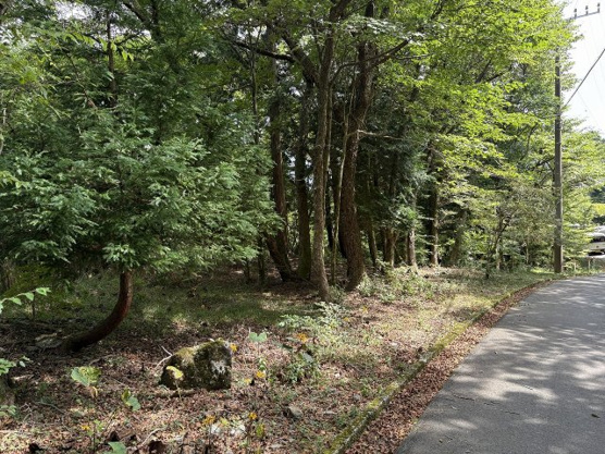 【外観】 | 東急天城高原別荘地　売地