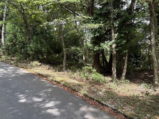 【外観】 | 東急天城高原別荘地　売地