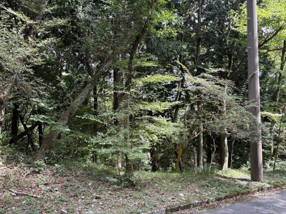 【外観】 | 東急天城高原別荘地　売地