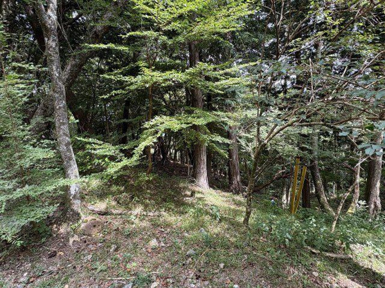 【外観】 | 東急天城高原別荘地　売地