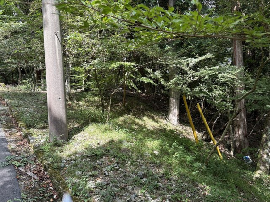 【外観】 | 東急天城高原別荘地　売地