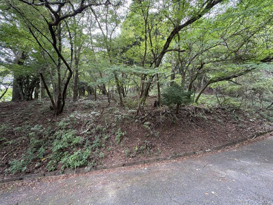 【外観】 | 東急天城高原別荘地　売地
