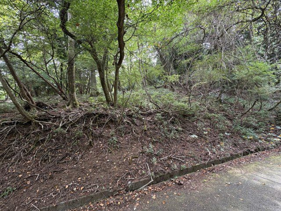 【外観】 | 東急天城高原別荘地　売地