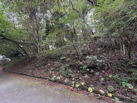 【外観】 | 東急天城高原別荘地　売地