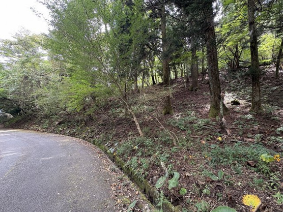 【外観】 | 東急天城高原別荘地　売地