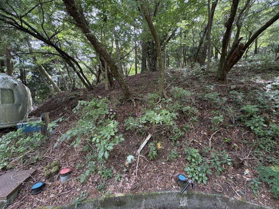 【外観】 | 東急天城高原別荘地　売地