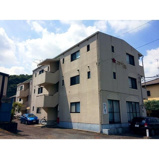 スターレンテルの画像