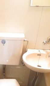 スワンハイムNの洗面所