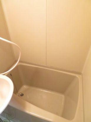 スワンハイムNの浴室