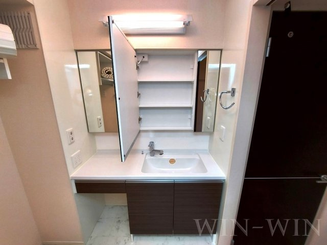 ぱるタウン Aの独立洗面台