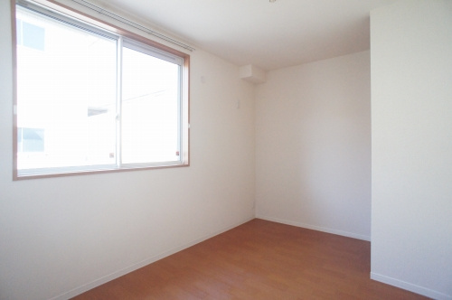 ペガサスDのその他