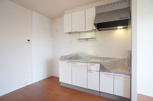 ペガサスDのキッチン