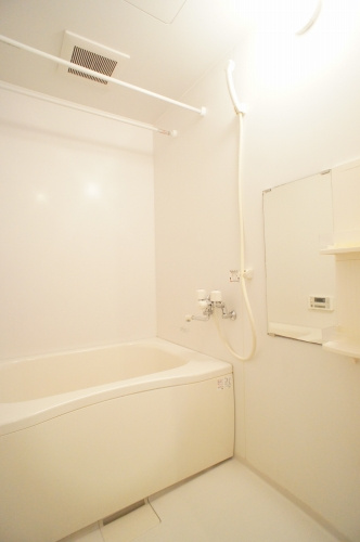 ペガサスDの浴室