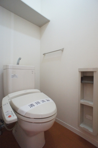 ペガサスDのトイレ