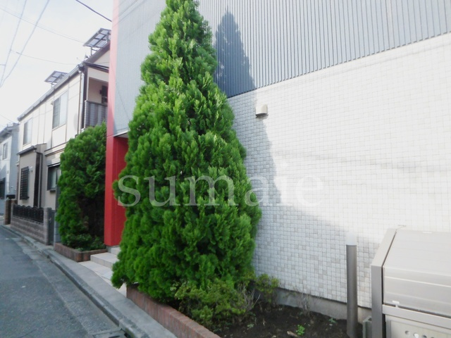 エルスタンザ赤羽のその他|こちらは植栽です☆