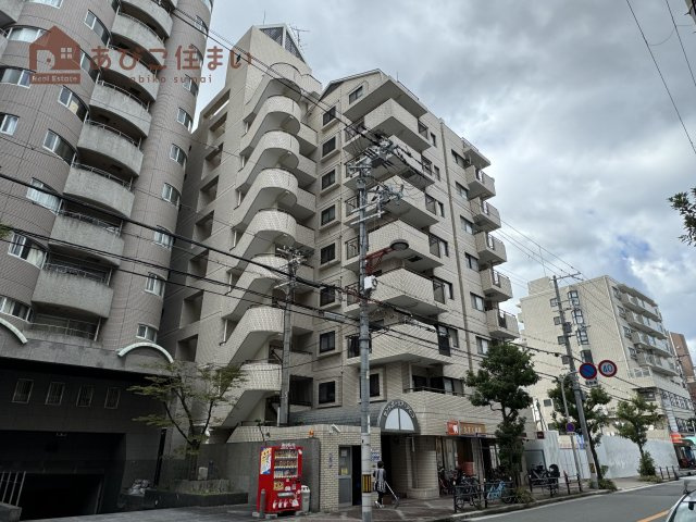 セントポーリア・アビコ