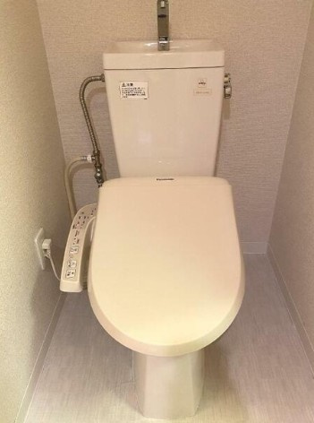 アクアタウンイーストⅡのトイレ