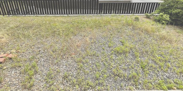 グリーンハイツの庭